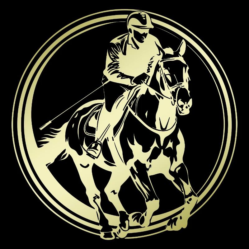 Silhouette de cheval d’équitation