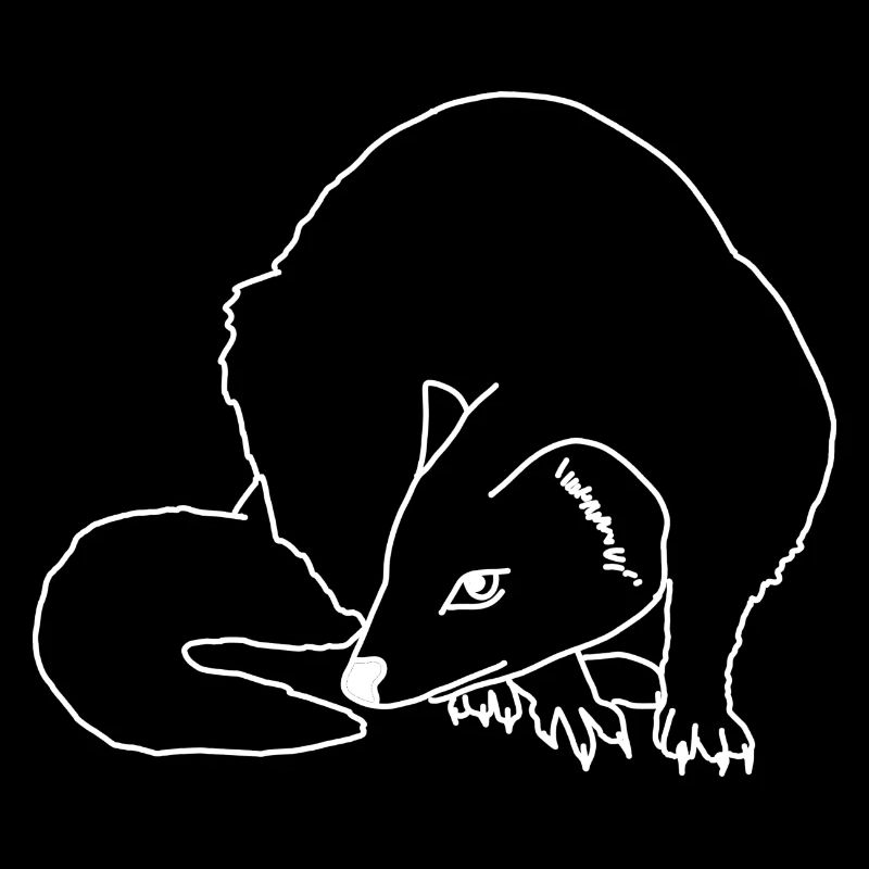 Marder lineart