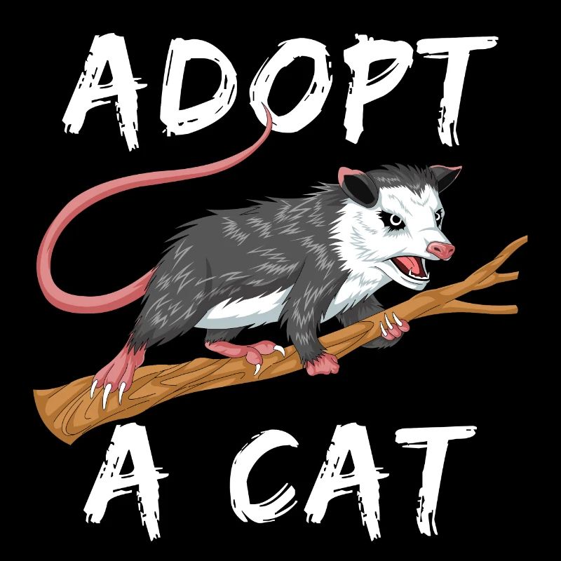 adopt a cat