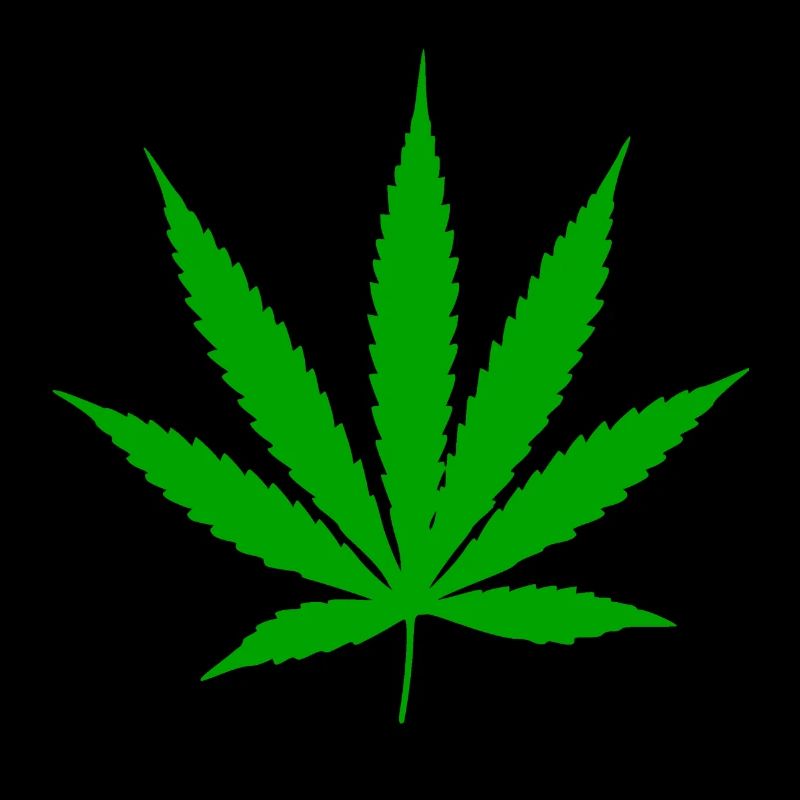 Cannabis Leaf Plant