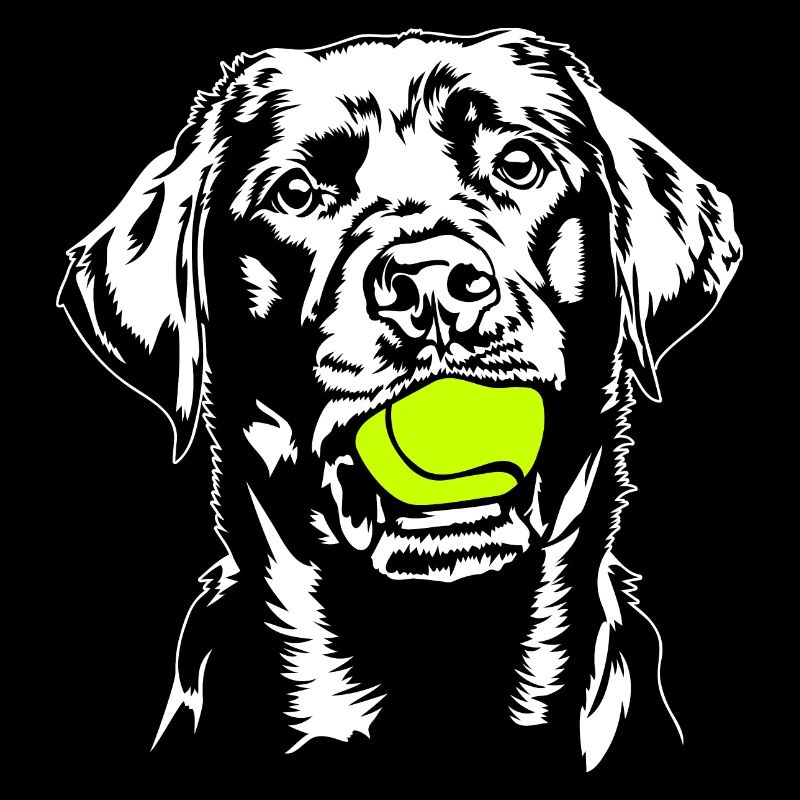 Labrador Ball Balljunkie Labbi Hunde Wilsigns