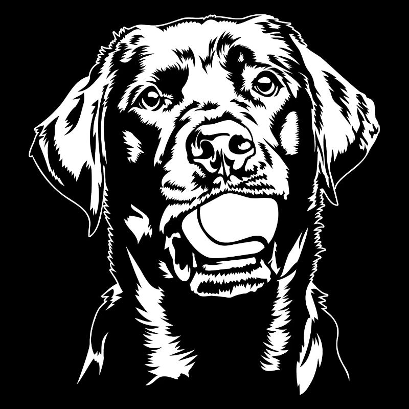 Labrador Ball Balljunkie Labbi Hunde Wilsigns