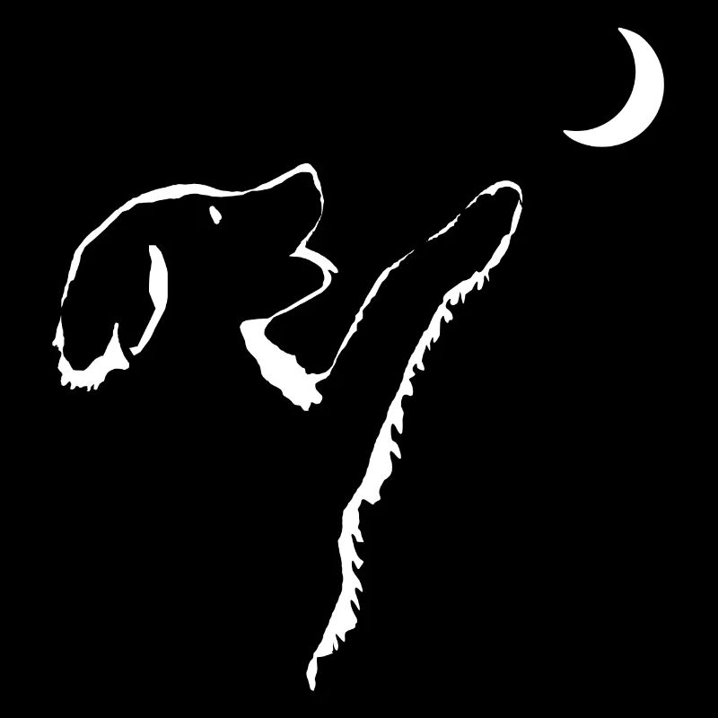 Hund schaut Mond an