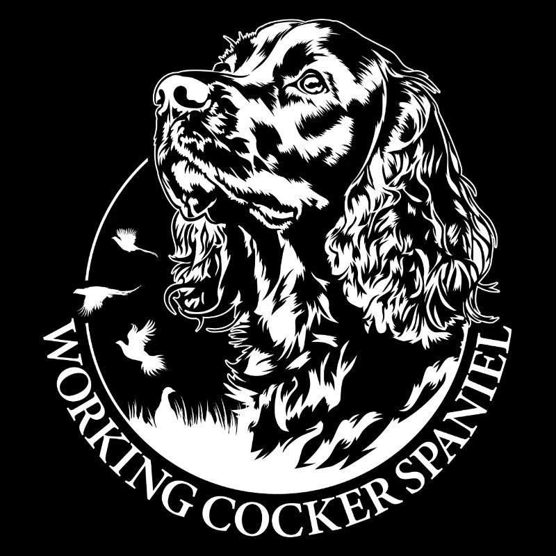 Cocker de travail Spaniel Chiens de chasse Chiens Wilsigns