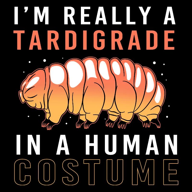 Tardigrade Ours d’eau tardigrade Tardigrade