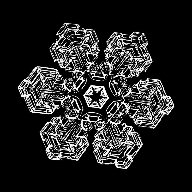 snowflake 10 white