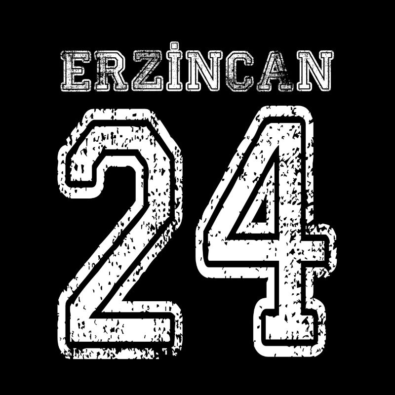 24 Erzincan Turkish License Plate as a gift