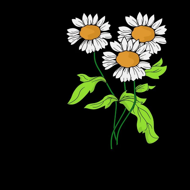 Gänseblümchen Blume Pflanze blühen Geschenkidee