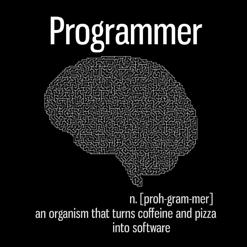 programmer brain pc computer definition pizza lo