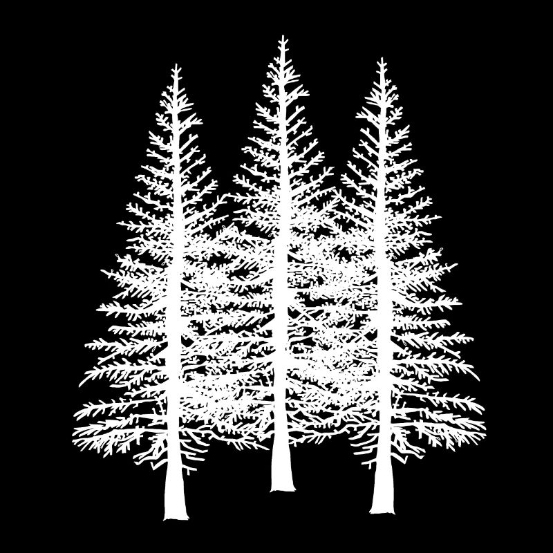 Forest tree trees nature conservation ecology environment