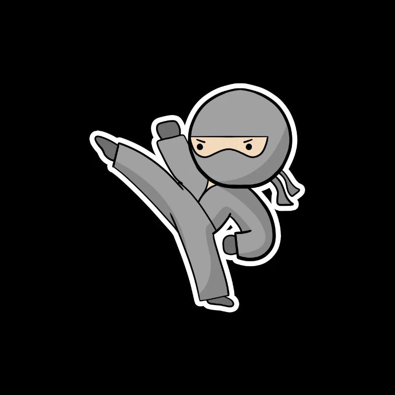 Ninja Kick