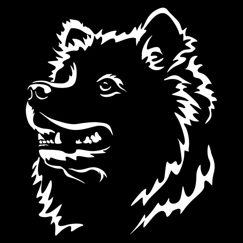 Samojede Kopf "Black Edition"
