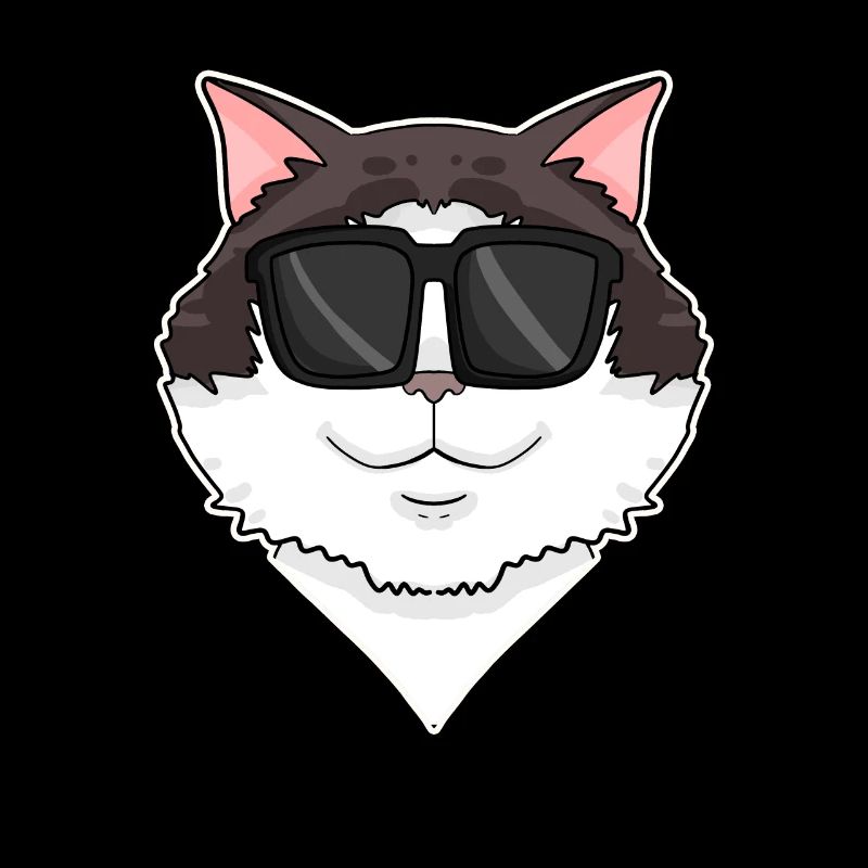 Ragdoll Cat