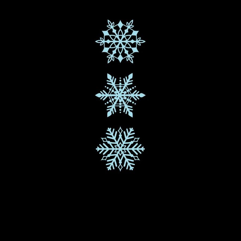 Snowflakes in different types Winter