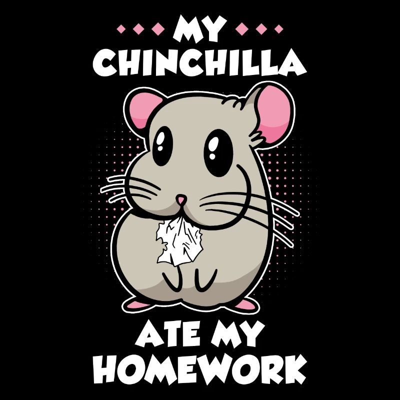 Chinchilla Lustig Mädchen