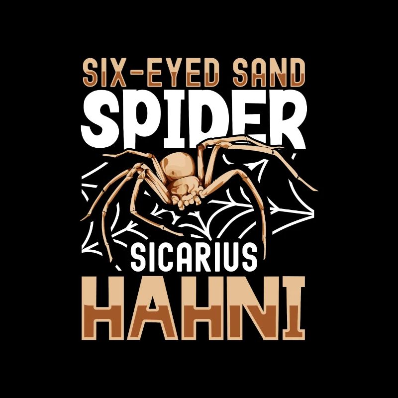 Araignée de sable à six yeux