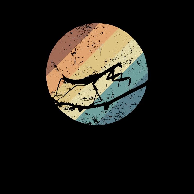 Gottesanbeterin im Farbverlauf