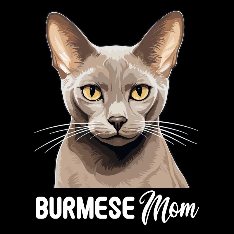 Chat birman Birmanie Katze