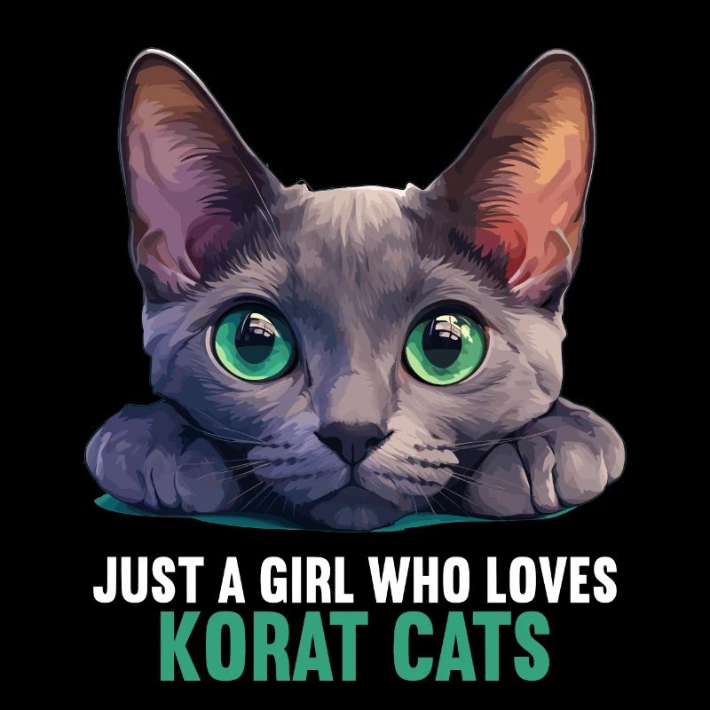Korat Chaton Korat Chat