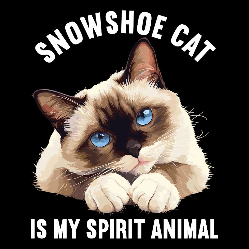 Snowshoe Kitten Snowshoe Cat