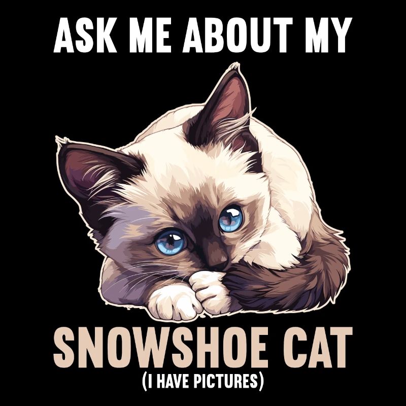 Snowshoe Kitten Snowshoe Cat