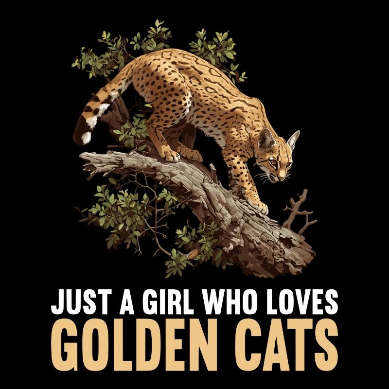 Chats dorés Chat doré