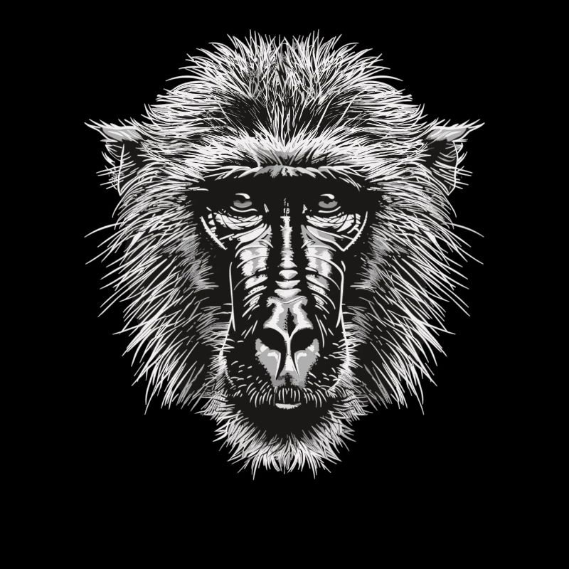 Baboon Paviane Pavian