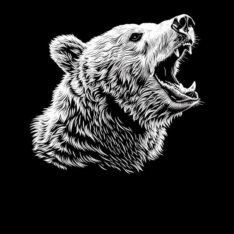 Ours Bären Bär