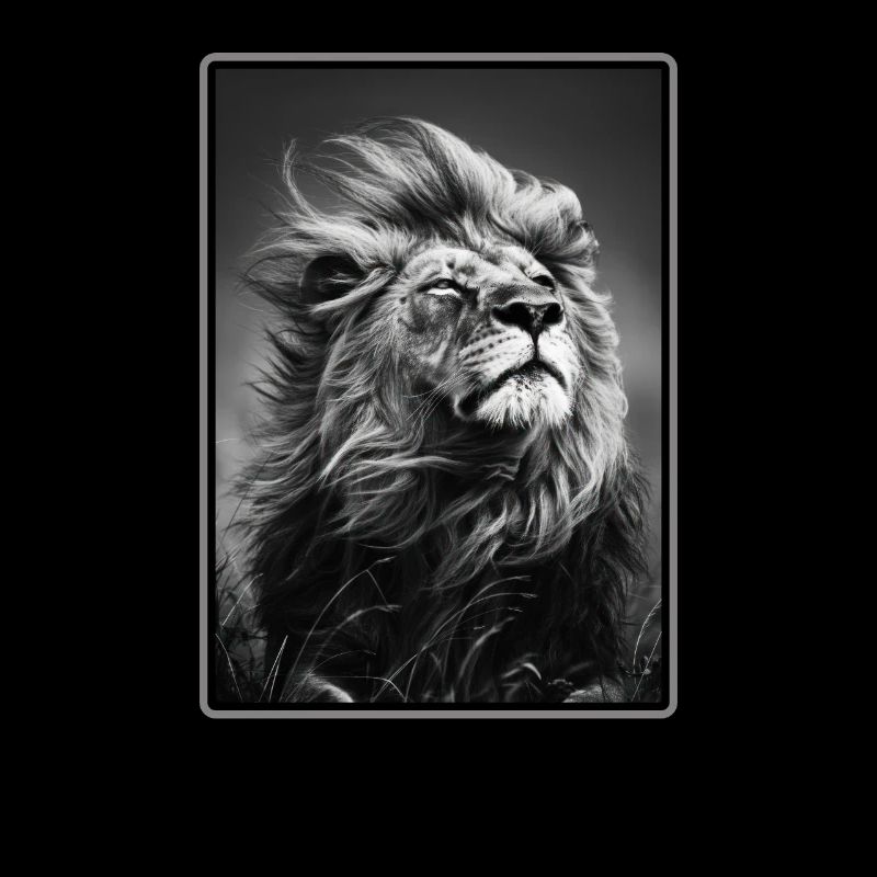 Lion Löwen Löwe