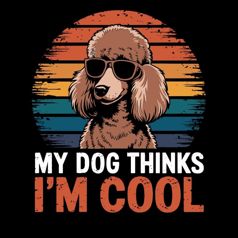 Caniche mon chien pense que je suis cool