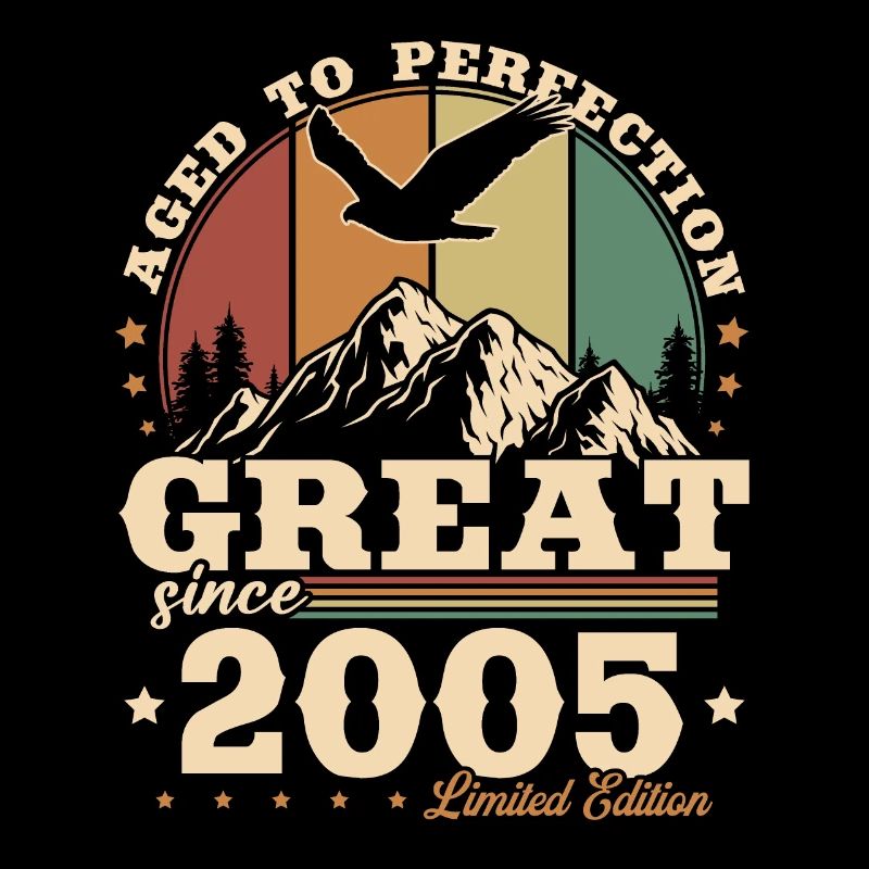 Vintage 2005 Retro 20th Birthday Gift