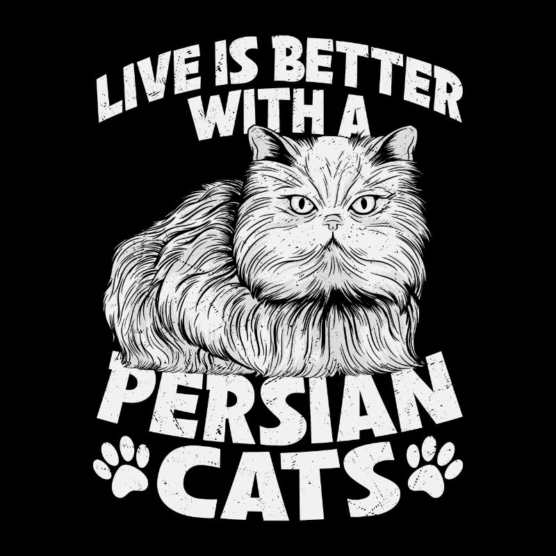 Vivre c’est mieux avec un chat persan chaton propriétaire ca