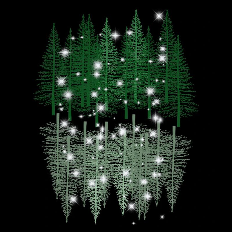 Forest Nature Reflection Nature Lover Spruce Trees