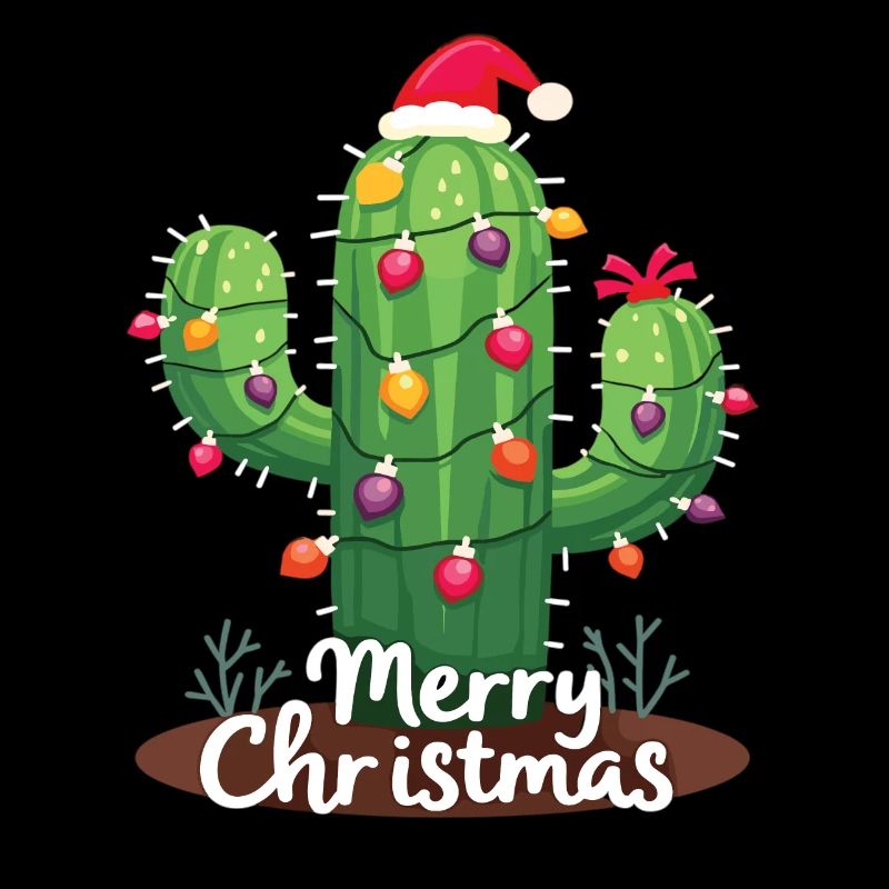 Cactus de Noël Cactus Cactus