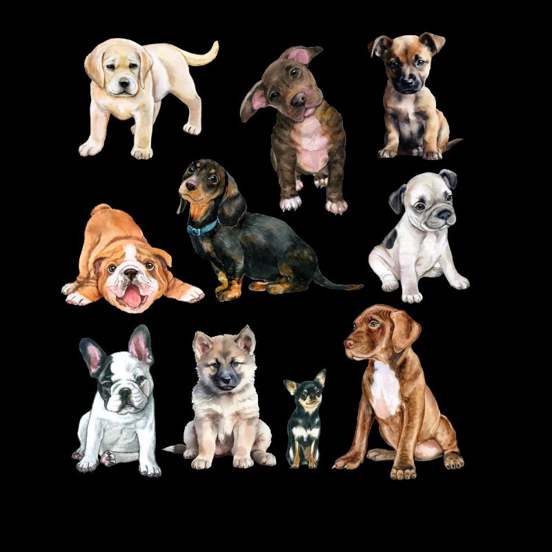 Chiens mignons.Chiots mignons de différentes races de chiens