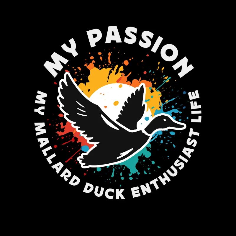 Canard colvert Ma passion Mon chasseur de canard colvert