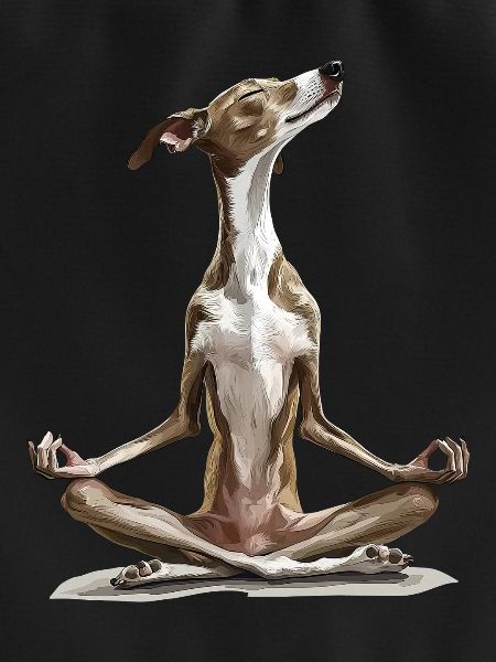 Windhund