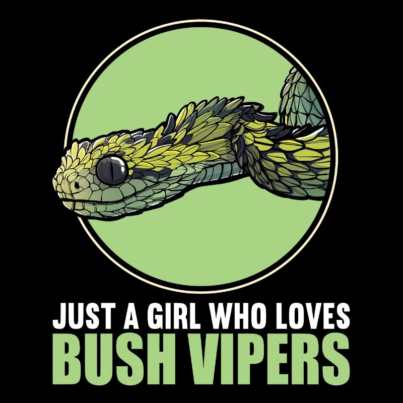 Buschvipern Buschviper