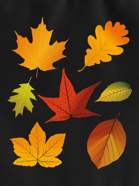 Herbstlaub