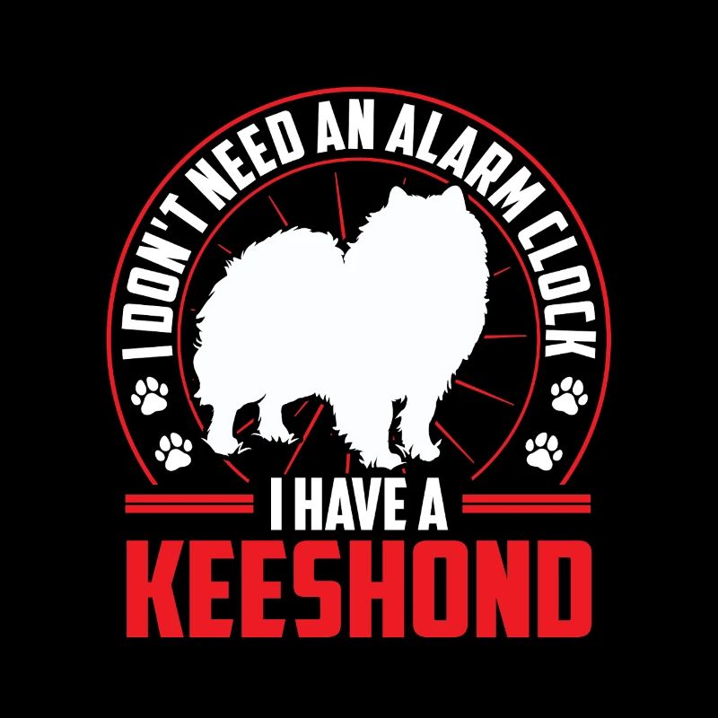 Wolfspitz is alarm German Wolfspitz