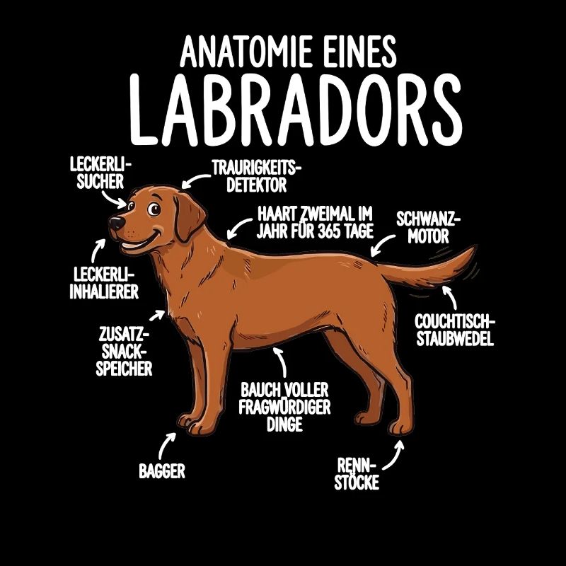 Anatomie eines Labradors – Lustiges Foxred Design