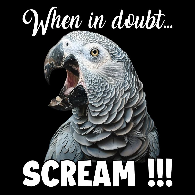 Screaming African grey parrot T, funny parrot
