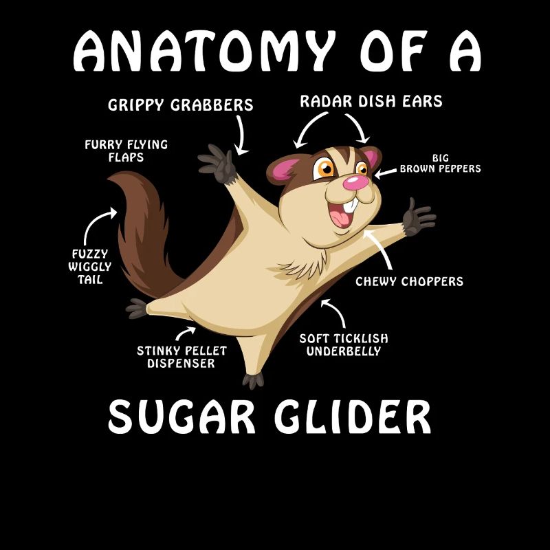 Sugar Glider Anatomie-Shirt