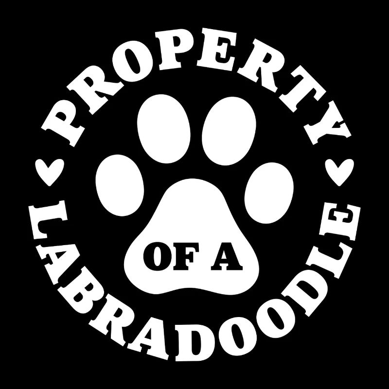 Propriété d’un Labradoodle