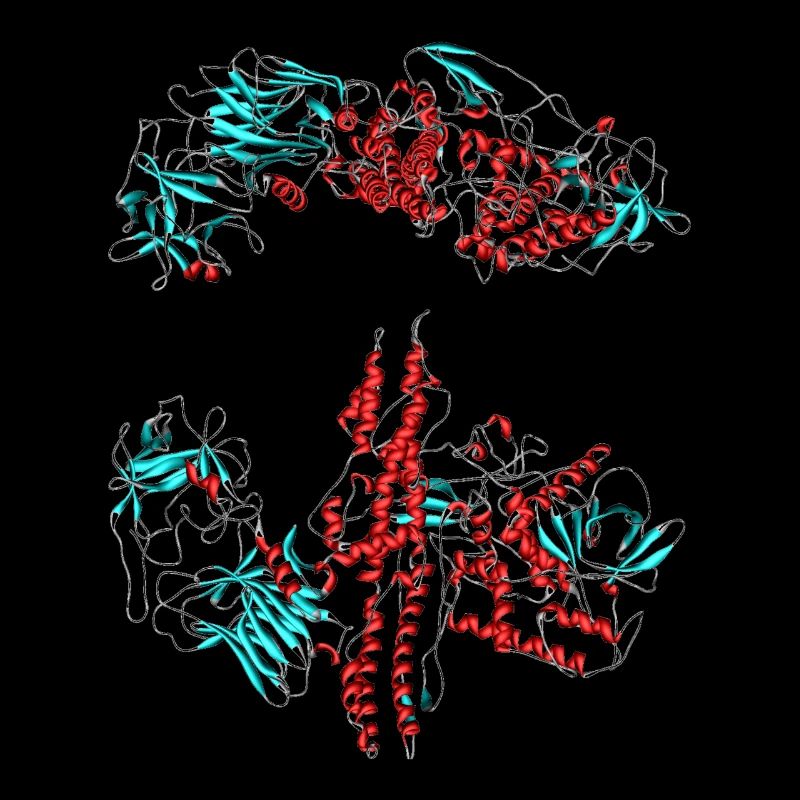 Botulinum toxin (Botox)