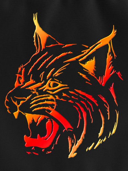 Luchs (01)