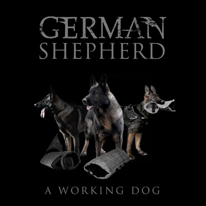 German Shepherd Dog