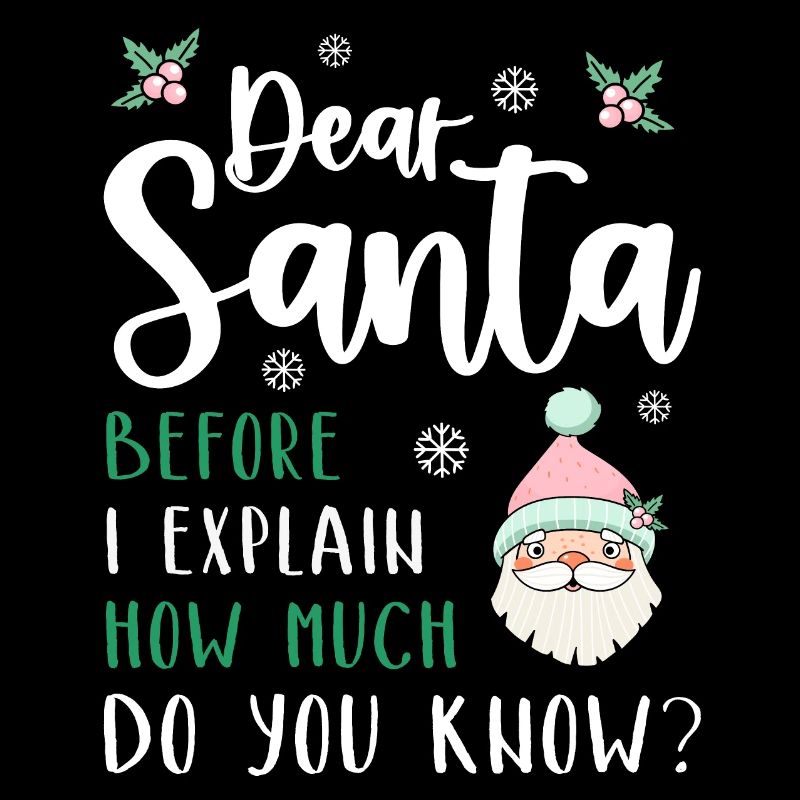 Dear Santa Before I explain What Do You Know?