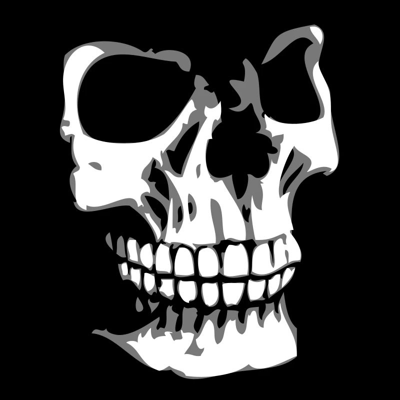 Droit crâne visage 3D