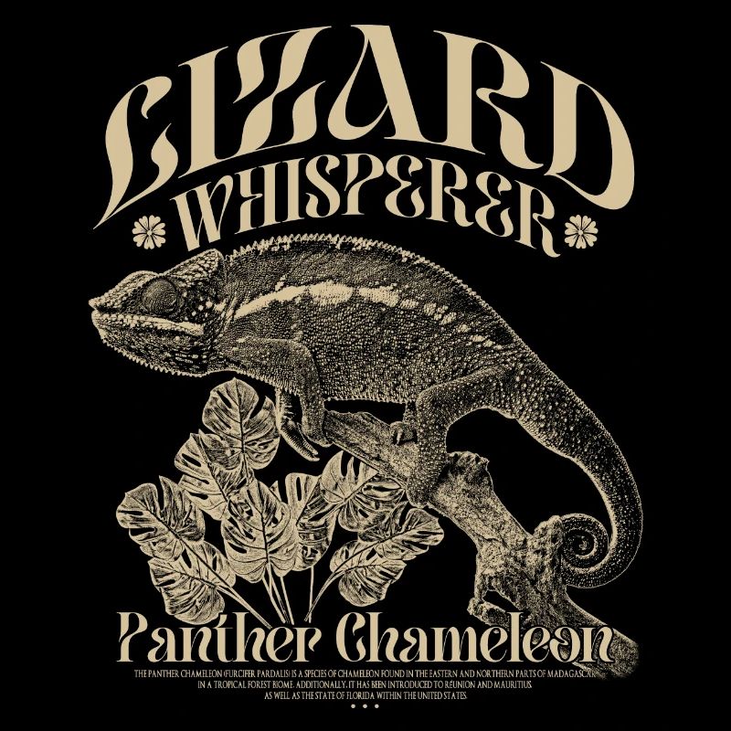 Panther Chameleon Chameleon Lizard Whisperer